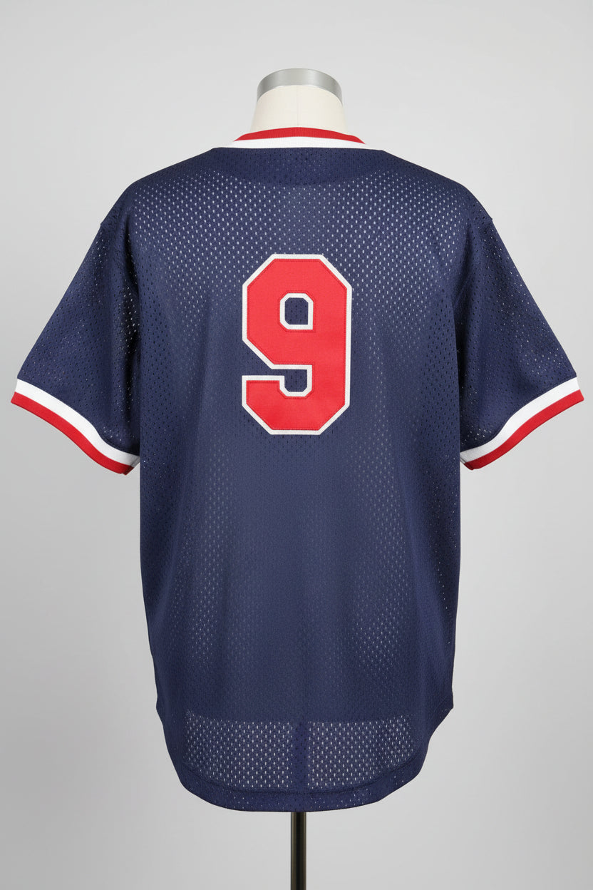 Mitchell & Ness Boston Red Sox Ted Williams #9 Cooperstown Collection