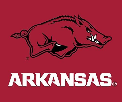 Arkansas Razorbacks RR 5"x6" Vinyl Magnet Auto Home University of