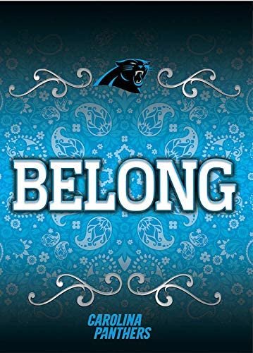 Carolina Panthers Premium Double Sided Garden Flag Banner, 13x18 Inch, Display Pole Sold Separately