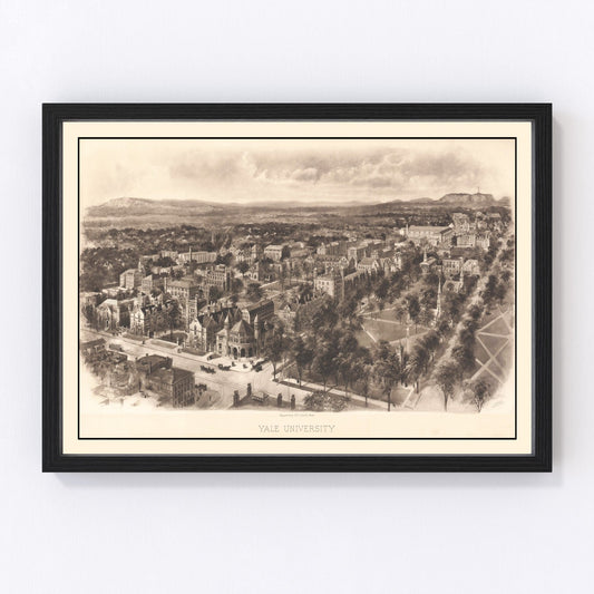 Vintage Map of Yale University, 1906