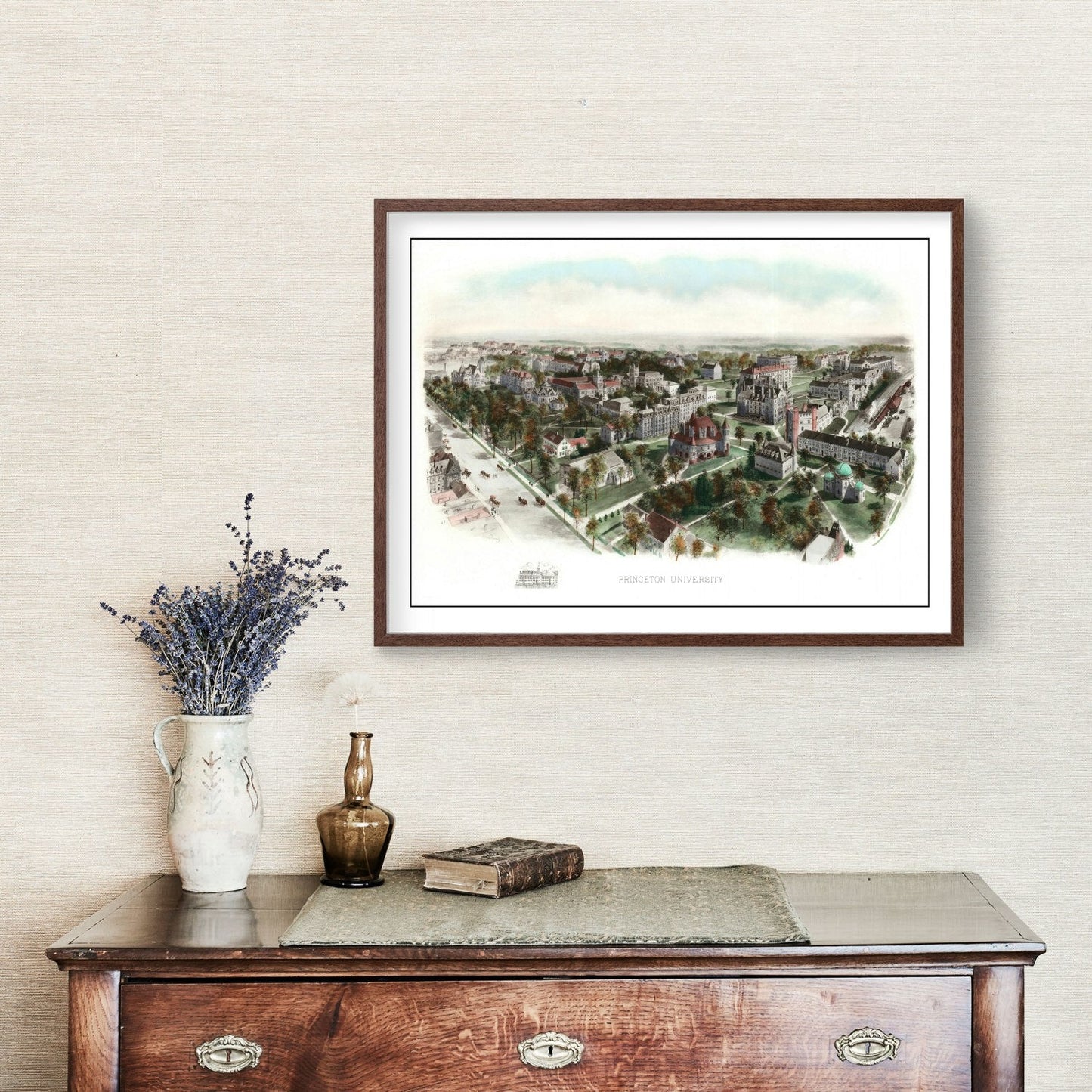 Vintage Princeton University Map 19006