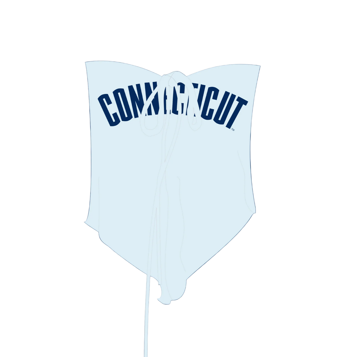UCONN Sweetheart Tube top