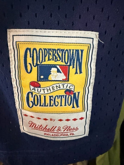 Mitchell & Ness Boston Red Sox Ted Williams #9 Cooperstown Collection