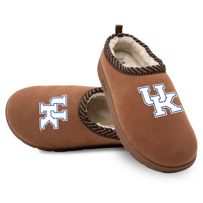 Kentucky Wildcats Primary Logo Mission