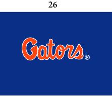 Florida Infant Lap Shoulder Creeper Print