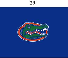 Florida Infant Lap Shoulder Creeper Print