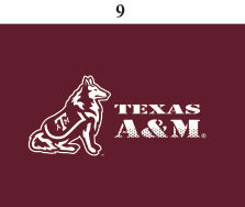 Texas A&M Toddler Short Sleeve T Shirt Print