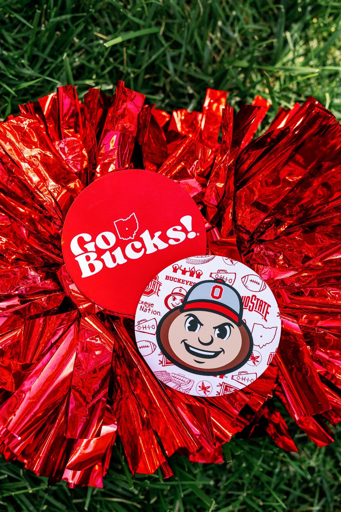 Ohio State Coasters Set of 25