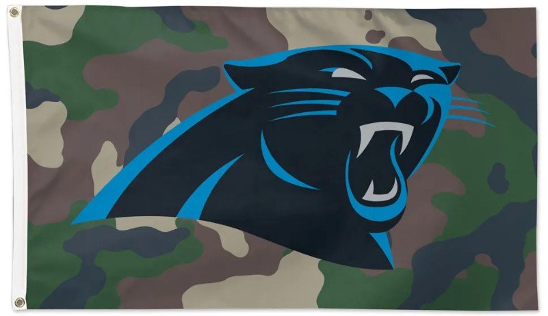 Carolina Panthers