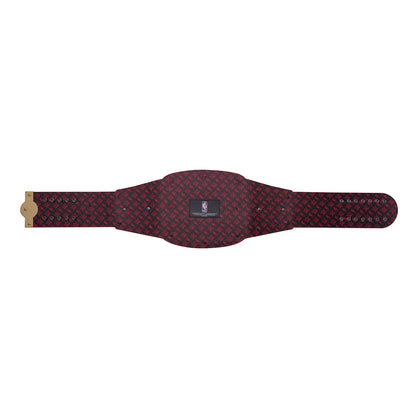 Chicago Bulls WWE Legacy Title Belt