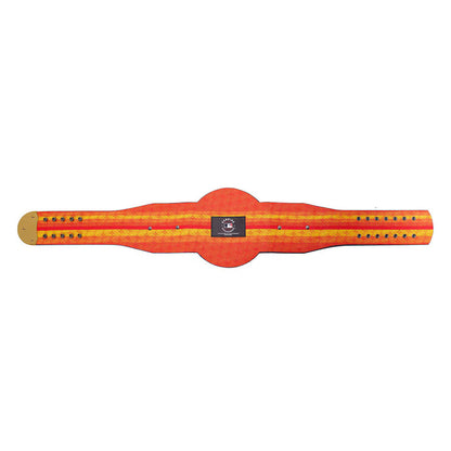 Houston Astros WWE Legacy Title Belt