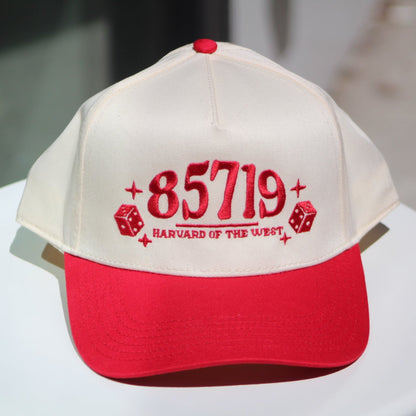 85719 embroidered paneled hat