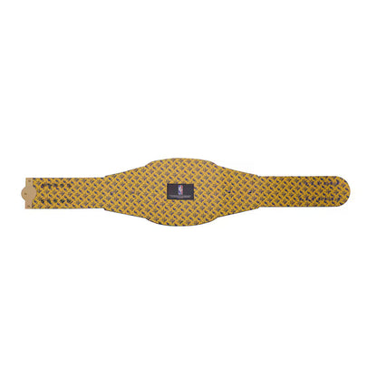Indiana Pacers WWE Legacy Title Belt