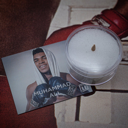 Muhammad Ali Punching Bag