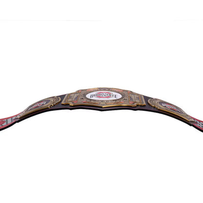 Ohio State Buckeyes WWE Legacy Title Belt