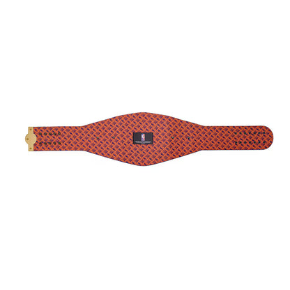 Phoenix Suns WWE Legacy Title Belt