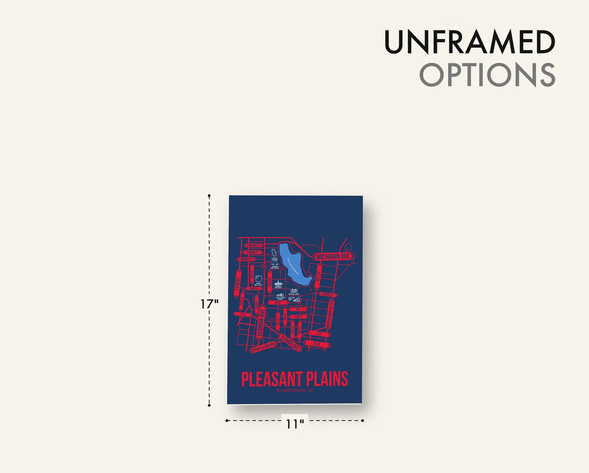 Pleasant Plains, Washington DC street map