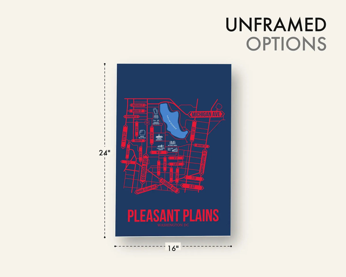 Pleasant Plains, Washington DC street map