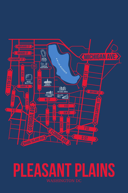 Pleasant Plains, Washington DC street map