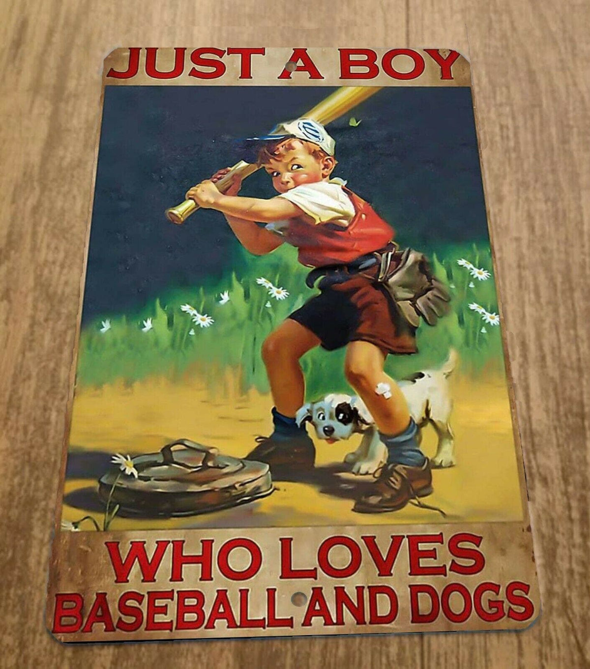 Just a Boy Who Loves Baseball and Dogs 8x12 Inch Metal Wall Sign - Animals, Miscellaneous, Sports Decor Poster