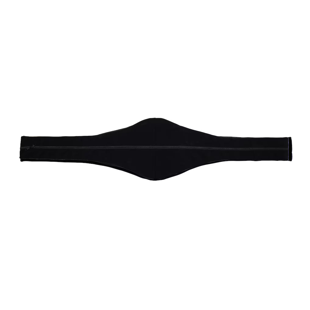 USMNT WWE Legacy Replica Title Belt